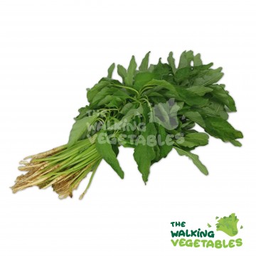 尖苋菜 / Sharp Spinach (350g)