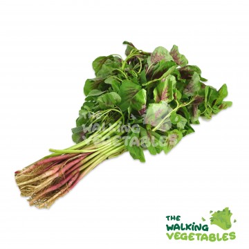 红苋菜 / Red Spinach (350g)