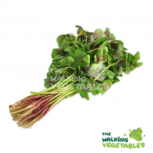 Fresh Vegetables
