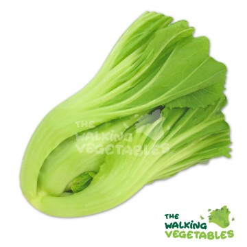 CAM Mustard With Leaves (300-400g)