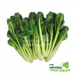 Fruits & Vegetables