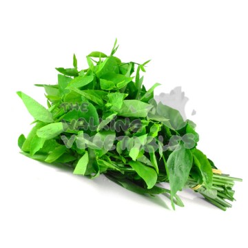 Tapioca Leaf / Pucuk Ubi (1 Bundle)
