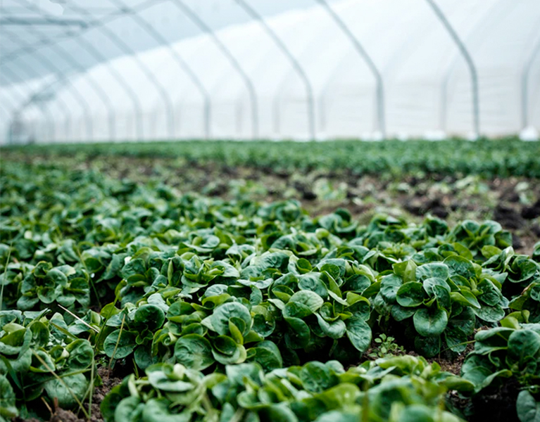 About us